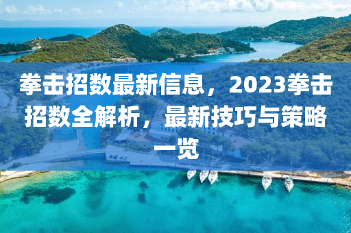 拳擊招數(shù)最新信息，2023拳擊招數(shù)全解析，最新技巧與策略一覽液壓動力機械,元件制造