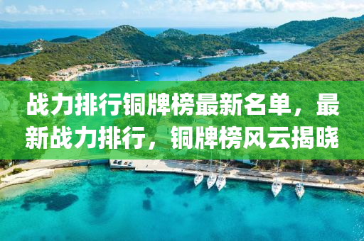 戰(zhàn)力排行銅牌榜最新名單，最新戰(zhàn)力排行，銅牌榜風云揭曉液壓動力機械,元件制造