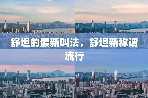 舒坦的最新叫法，舒坦新稱謂流行液壓動(dòng)力機(jī)械,元件制造