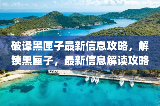 破譯黑匣子最新信息攻略，解鎖黑匣子，最新信息液壓動力機(jī)械,元件制造解讀攻略