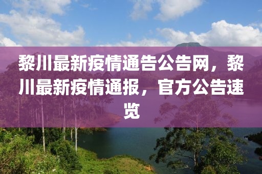 黎川最新疫情通告公告網(wǎng)，黎川最新疫情通報(bào)，官方公告速覽液壓動(dòng)力機(jī)械,元件制造