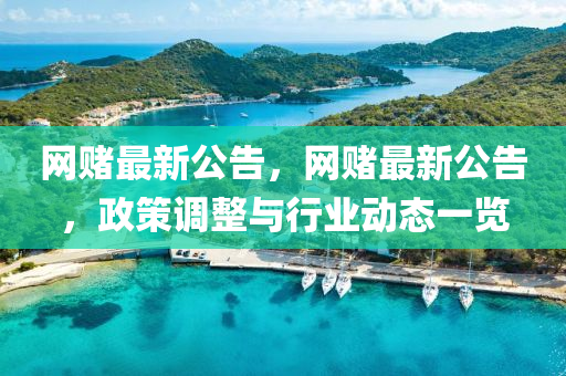 網(wǎng)賭最新公告，網(wǎng)賭最新公告，政策調(diào)整與行業(yè)動(dòng)態(tài)一覽液壓動(dòng)力機(jī)械,元件制造