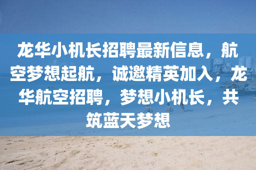 龍華小機(jī)長招聘最新信息，航空夢(mèng)想起航，誠邀精英加入，龍華航空招聘，夢(mèng)想小機(jī)長，共筑藍(lán)天夢(mèng)想液壓動(dòng)力機(jī)械,元件制造