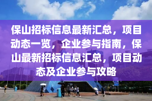 保山招標(biāo)信息最新匯總，項(xiàng)目動(dòng)態(tài)一覽，企業(yè)參與指南，保山最新招標(biāo)信息匯總，項(xiàng)目動(dòng)態(tài)及企業(yè)參與攻略液壓動(dòng)力機(jī)械,元件制造