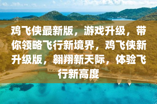雞飛俠最新版，游戲升級(jí)，帶你領(lǐng)略飛行新境界，雞飛俠新升級(jí)版，翱翔新天際，體驗(yàn)飛行新高液壓動(dòng)力機(jī)械,元件制造度