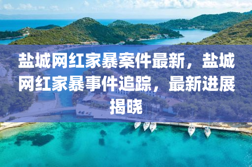 鹽城網(wǎng)紅家暴案件最新，鹽城網(wǎng)紅家暴事件追蹤，最新進(jìn)展揭曉液壓動(dòng)力機(jī)械,元件制造