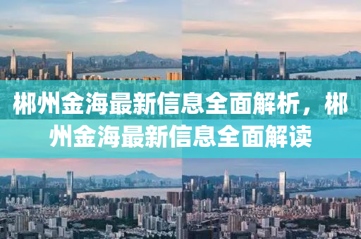 郴州金海最新信息全面解析，郴州金海最新信息全液壓動力機(jī)械,元件制造面解讀