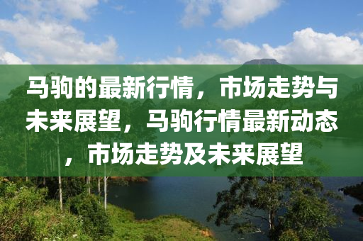 馬駒液壓動(dòng)力機(jī)械,元件制造的最新行情，市場走勢與未來展望，馬駒行情最新動(dòng)態(tài)，市場走勢及未來展望