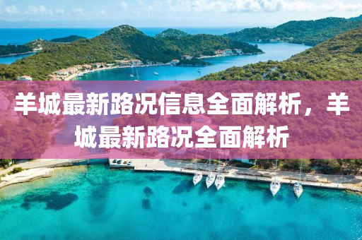 羊城最新路況信息全面解析，羊城最新路況全面解析液壓動(dòng)力機(jī)械,元件制造