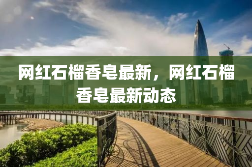 網(wǎng)紅石榴香皂最新，網(wǎng)紅石榴液壓動力機械,元件制造香皂最新動態(tài)