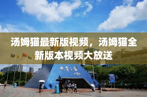 湯姆貓最新版視頻，湯姆貓全新版本視頻大放送液壓動力機(jī)械,元件制造
