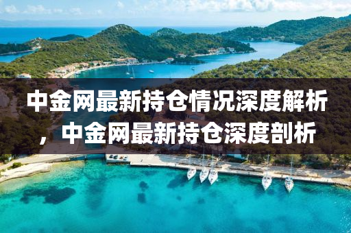 中金網(wǎng)最新持倉(cāng)情況深度解析，中金網(wǎng)最新持倉(cāng)深度剖析液壓動(dòng)力機(jī)械,元件制造