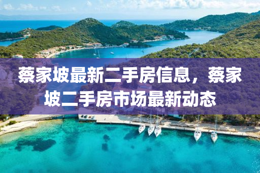 蔡家坡最新二手房信息，蔡家坡二手房市場(chǎng)最新動(dòng)態(tài)液壓動(dòng)力機(jī)械,元件制造