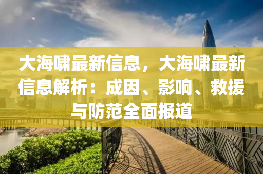 大海嘯最新信息，大海嘯最新信息解析：成因、影響、救援與防范全面報道液壓動力機械,元件制造