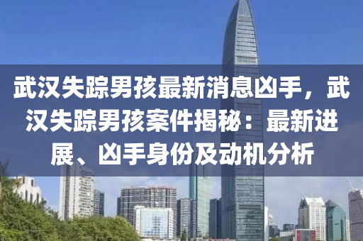 武漢失蹤男液壓動(dòng)力機(jī)械,元件制造孩最新消息兇手，武漢失蹤男孩案件揭秘：最新進(jìn)展、兇手身份及動(dòng)機(jī)分析