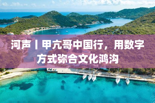 河聲丨甲亢哥中國(guó)行，用數(shù)字方式彌合文化鴻溝液壓動(dòng)力機(jī)械,元件制造