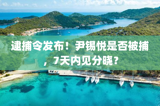 逮捕令液壓動(dòng)力機(jī)械,元件制造發(fā)布！尹錫悅是否被捕，7天內(nèi)見分曉？