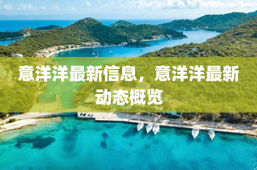 意洋洋最新信息，意洋洋最新動(dòng)態(tài)概覽液壓動(dòng)力機(jī)械,元件制造