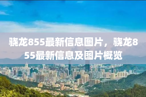 驍龍855最新信息圖片，驍龍855最新信息及圖片概覽液壓動(dòng)力機(jī)械,元件制造