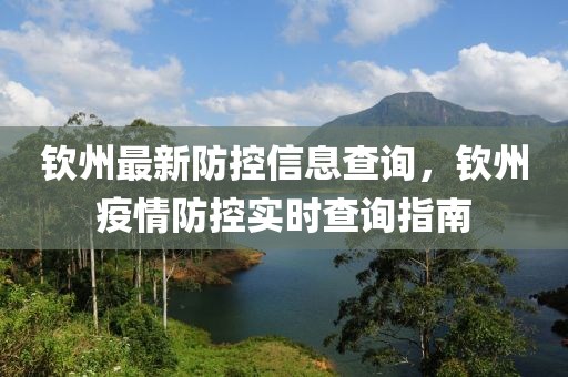 欽州最新防控信息查詢，欽州疫情防控實時查詢指南液壓動力機械,元件制造