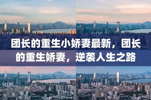 團長的重生小嬌妻最新，團長的重生嬌液壓動力機械,元件制造妻，逆襲人生之路