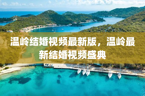 溫嶺結(jié)婚液壓動力機械,元件制造視頻最新版，溫嶺最新結(jié)婚視頻盛典