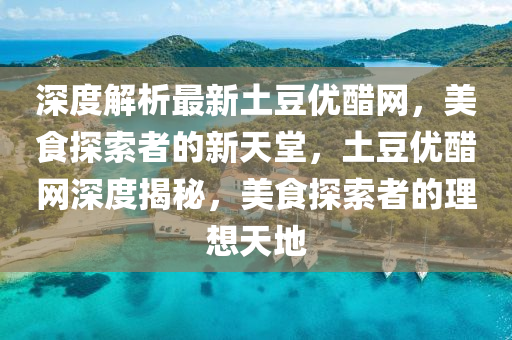 深度解析最新土豆優(yōu)醋網(wǎng)，美食探索者的新天堂，土豆優(yōu)醋網(wǎng)深度揭秘，美食探索者的理想天地液壓動(dòng)力機(jī)械,元件制造