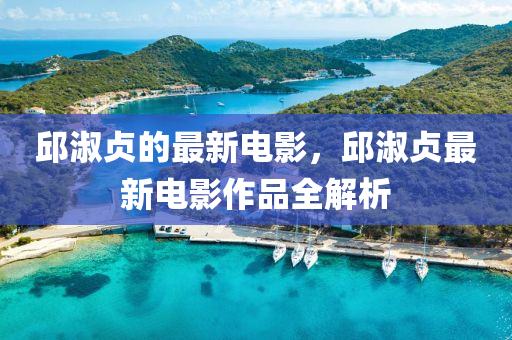 邱淑貞的最新電影，邱淑貞液壓動力機械,元件制造最新電影作品全解析