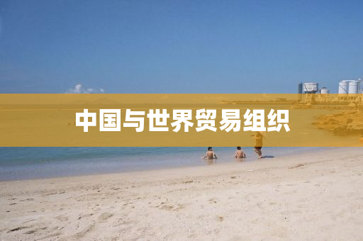 中液壓動力機(jī)械,元件制造國與世界貿(mào)易組織