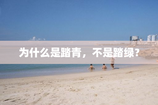 為什么是踏青，不是踏綠？液壓動力機(jī)械,元件制造