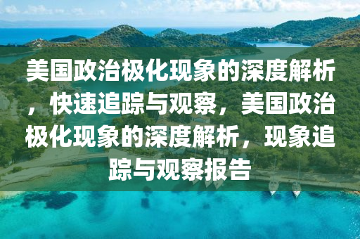 美國(guó)政治極化現(xiàn)象的深度解析，快速追蹤與觀察，美國(guó)政治極化現(xiàn)象的深度解析，現(xiàn)象追蹤與觀察報(bào)告液壓動(dòng)力機(jī)械,元件制造