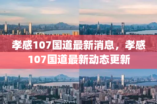 孝感107國道最新消息，孝感107國道最新動態(tài)更液壓動力機(jī)械,元件制造新