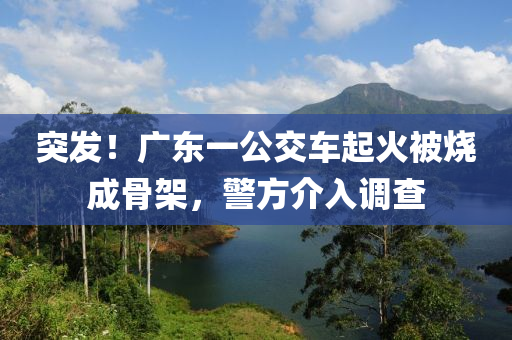突發(fā)！廣東一公交車起火被燒成骨架，警方介入調(diào)查液壓動(dòng)力機(jī)械,元件制造