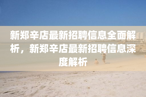 新鄭辛店最新招聘信息全面解析，新鄭辛店最新招聘信息深度解析液壓動(dòng)力機(jī)械,元件制造