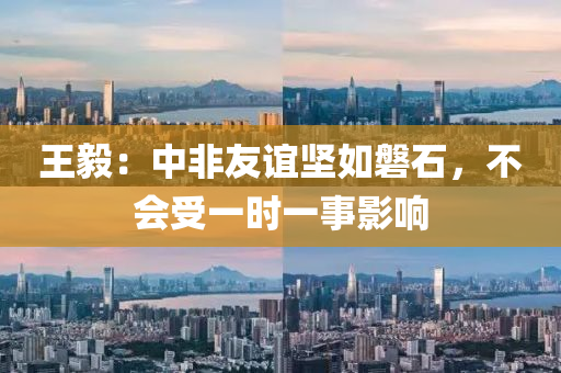 王毅：中非友誼堅如磐石，不會受一時一事影響液壓動力機械,元件制造