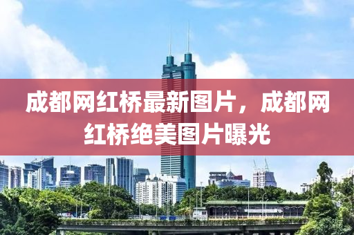 成液壓動力機械,元件制造都網(wǎng)紅橋最新圖片，成都網(wǎng)紅橋絕美圖片曝光