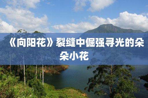 《向陽花》裂縫中倔強(qiáng)尋光的朵朵小花液壓動力機(jī)械,元件制造