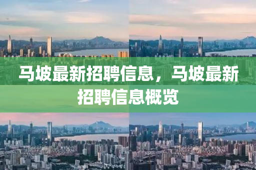 馬坡最新招聘信息，馬坡最新招聘信息概覽液壓動(dòng)力機(jī)械,元件制造