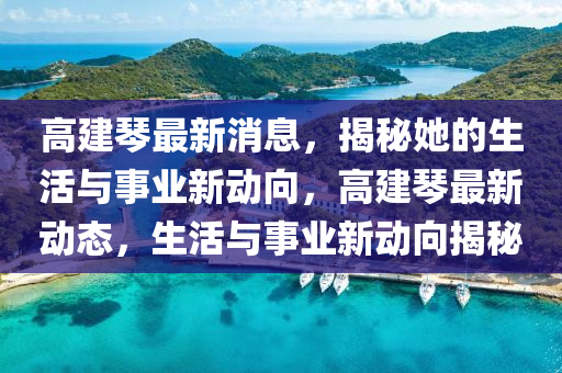 高液壓動力機械,元件制造建琴最新消息，揭秘她的生活與事業(yè)新動向，高建琴最新動態(tài)，生活與事業(yè)新動向揭秘