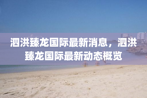 液壓動力機械,元件制造泗洪臻龍國際最新消息，泗洪臻龍國際最新動態(tài)概覽