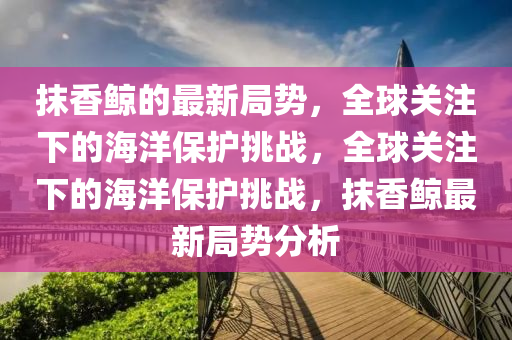 抹香鯨的最新局勢(shì)，全球關(guān)注下的海洋保護(hù)挑戰(zhàn)，全球關(guān)注下的海洋保護(hù)挑戰(zhàn)，抹香鯨最新局勢(shì)分析液壓動(dòng)力機(jī)械,元件制造