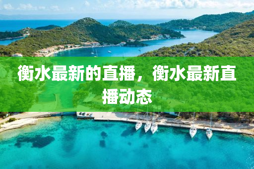 衡水最新的直播，衡水最新直播液壓動力機(jī)械,元件制造動態(tài)