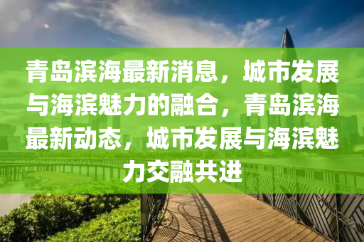 青島濱海最新消息，城市發(fā)展與海濱魅力的融合，青島濱海最新動態(tài)，城市發(fā)展與海濱魅力交融共進液壓動力機械,元件制造