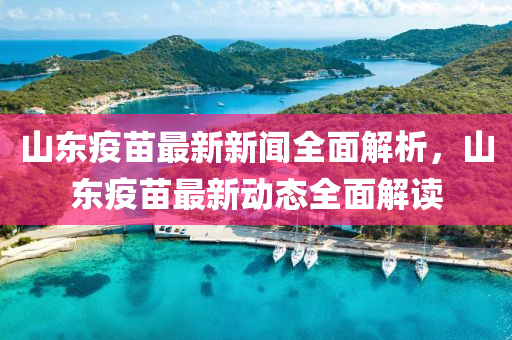 山東疫苗最新新聞全面解析，山東疫苗最新動態(tài)全面解讀液壓動力機械,元件制造