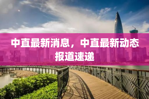 中直最新消息，中直最新動(dòng)態(tài)報(bào)道速遞液壓動(dòng)力機(jī)械,元件制造