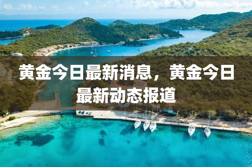 黃金今日最新消息，黃金今日最新動(dòng)態(tài)報(bào)道液壓動(dòng)力機(jī)械,元件制造
