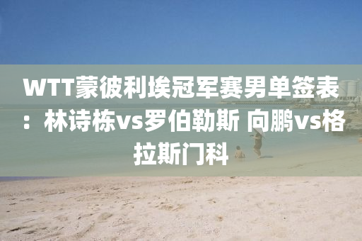 WT液壓動力機械,元件制造T蒙彼利埃冠軍賽男單簽表：林詩棟vs羅伯勒斯 向鵬vs格拉斯門科