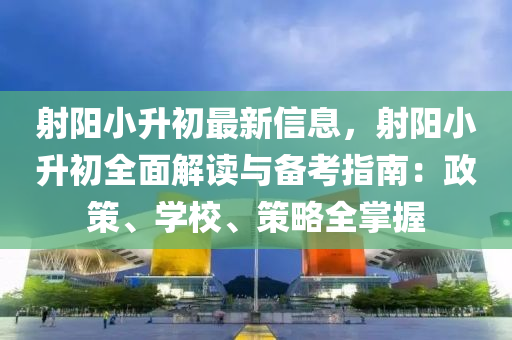射陽小升初最新信息，射陽小升初全面解讀與備考指南：政策、學(xué)校、策略全掌握液壓動力機械,元件制造