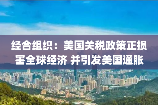 經(jīng)合組織：美國關(guān)稅政策正損害全球經(jīng)濟 并引發(fā)美國通脹液壓動力機械,元件制造