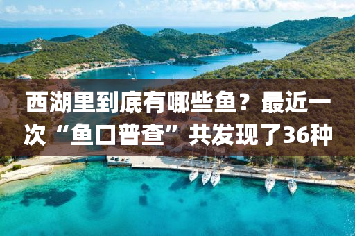 西湖里到底有哪些魚？最近一次“魚口普查”共發(fā)現(xiàn)了36種液壓動(dòng)力機(jī)械,元件制造